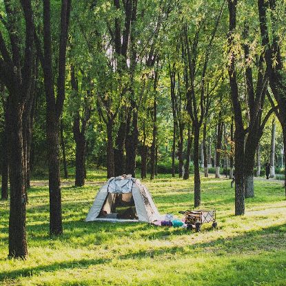 Trailforge Two Person Tent