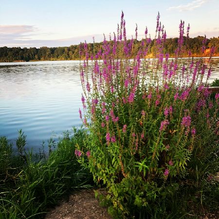 Picture for collection Summer Escape